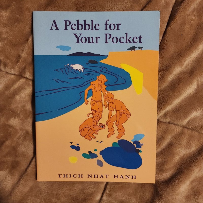 A Pebble for Your Pocket