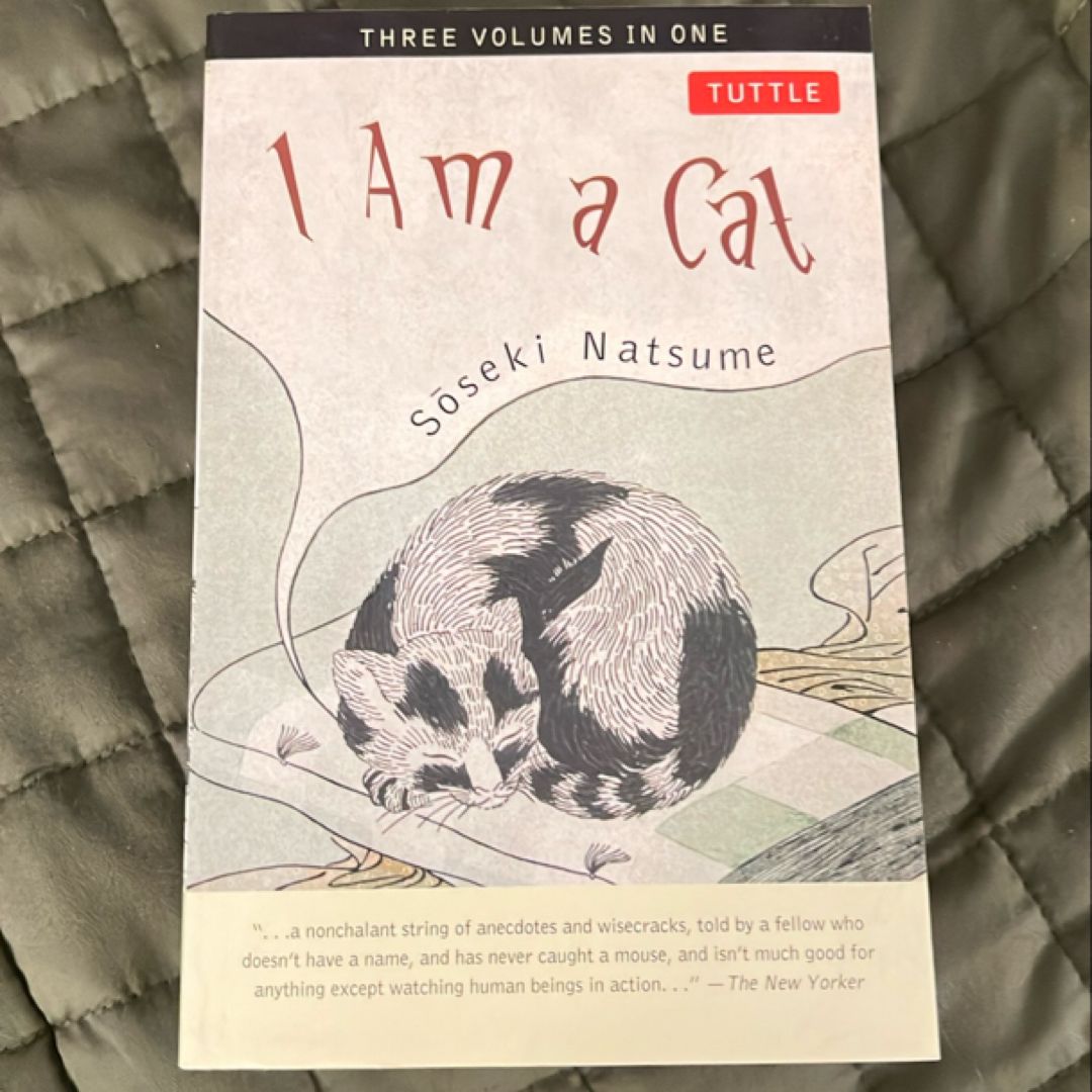 Sale image for 434e741b-5ba4-47a9-9344-cef381113729-3qtrGXoz0pMtGl0mZyxo9rUJCOA2