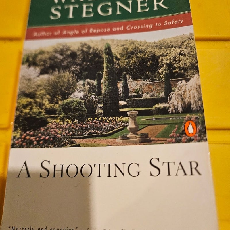 A Shooting Star