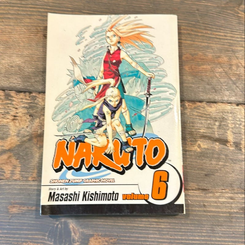 Naruto, Vol. 6