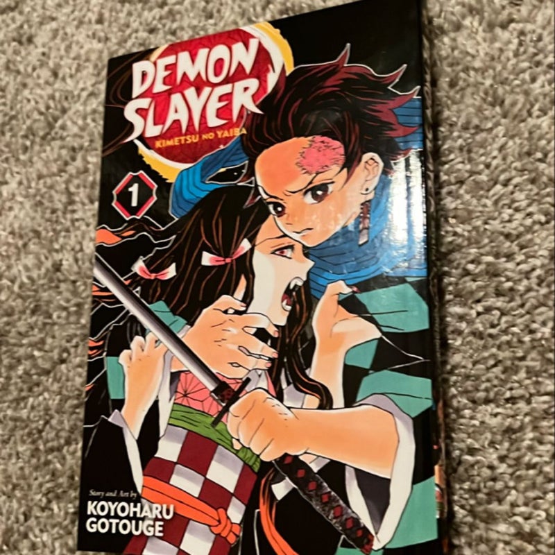 Demon Slayer: Kimetsu No Yaiba, Vol. 1