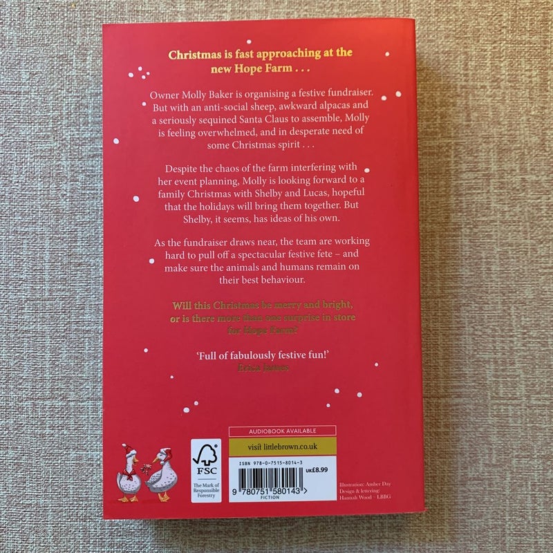 Christmas for Beginners (uk edition)