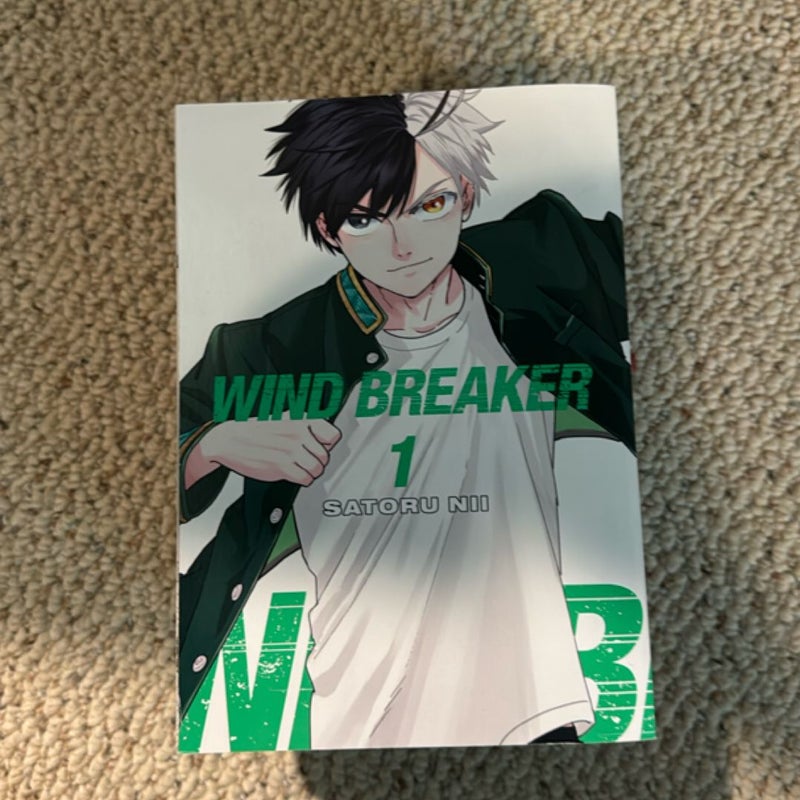 Wind Breaker 1