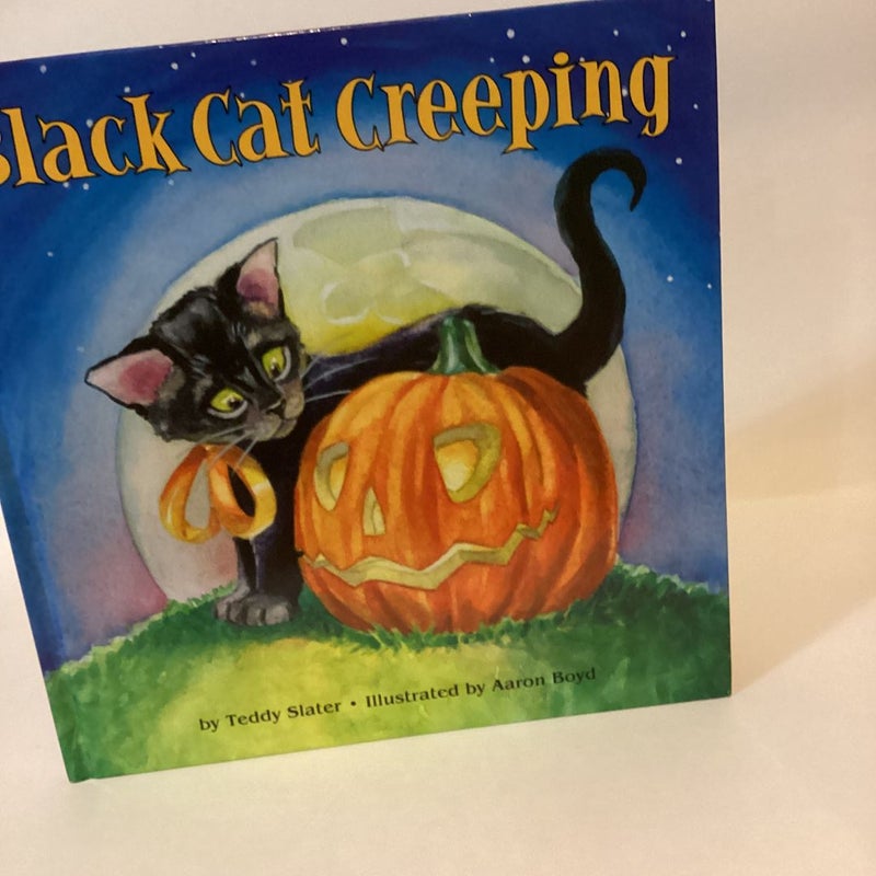  Black cat creeping