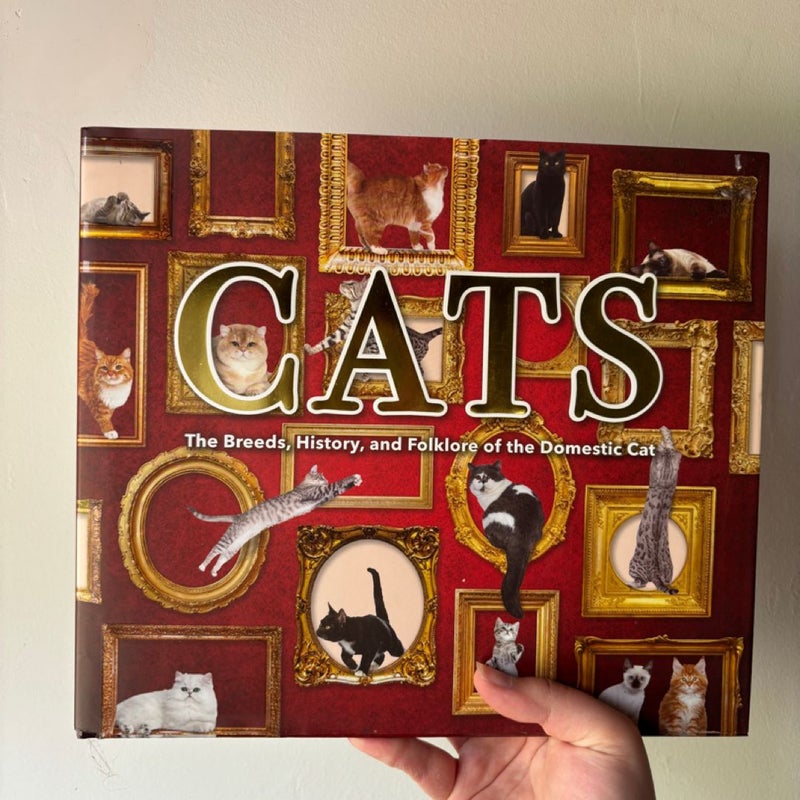 Cats