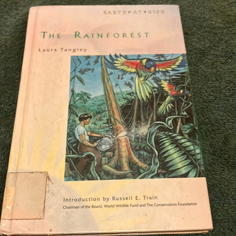 The Rainforest