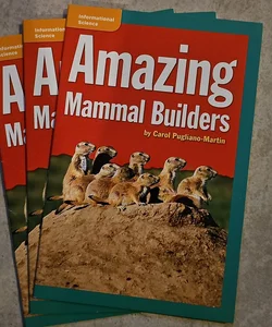 Amazing Mammal Builders SET OF 3 *