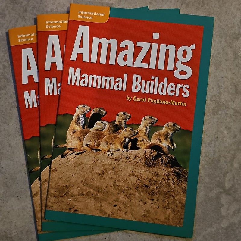 Amazing Mammal Builders SET OF 3 *