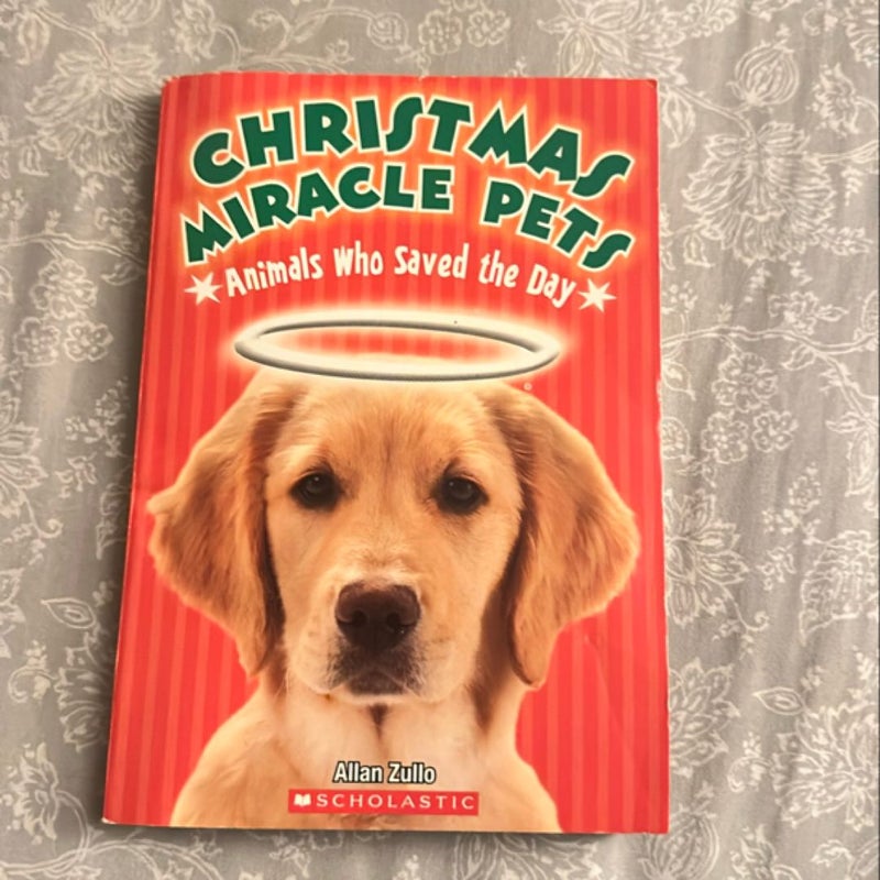 Christmas Miracle Pets