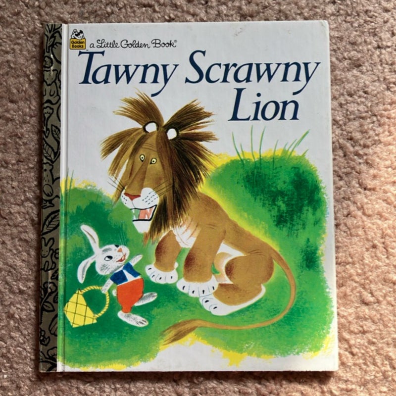 Tawny Scrawny Lion