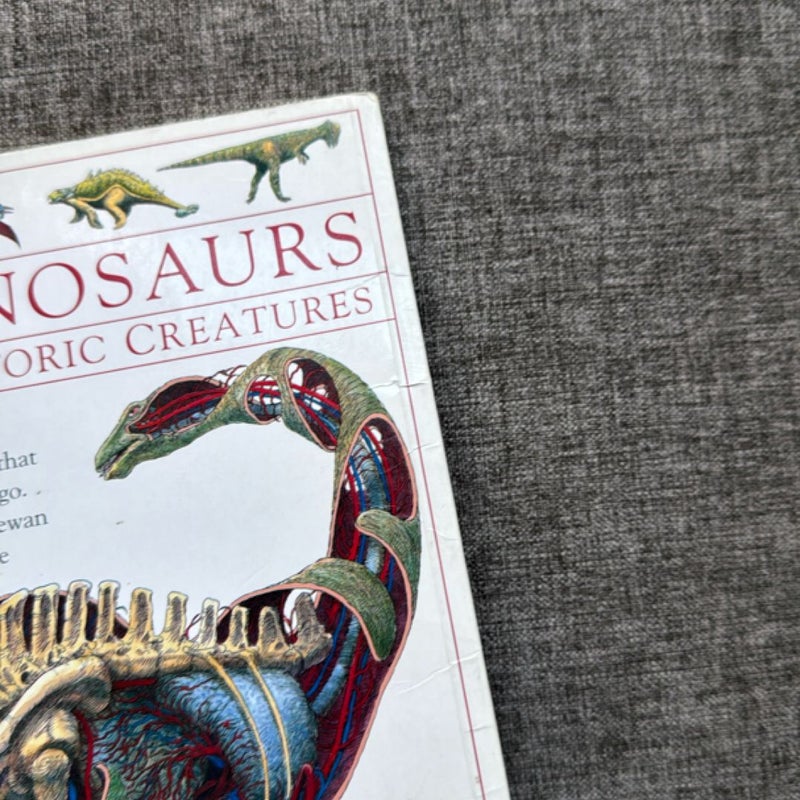 Inside Dinosaurs and Other Prehistoric Creatures