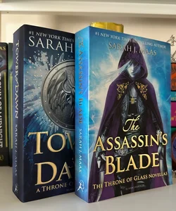 *BUNDLE* Tower of Dawn and The Assassin’s Blade