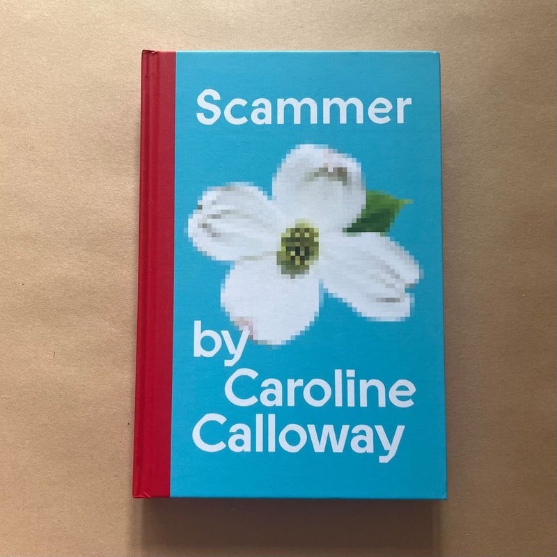 Scammer