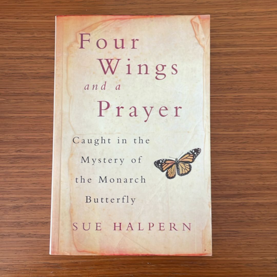 Four Wings and a Prayer