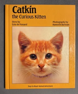 Catkin the Curious Kitten
