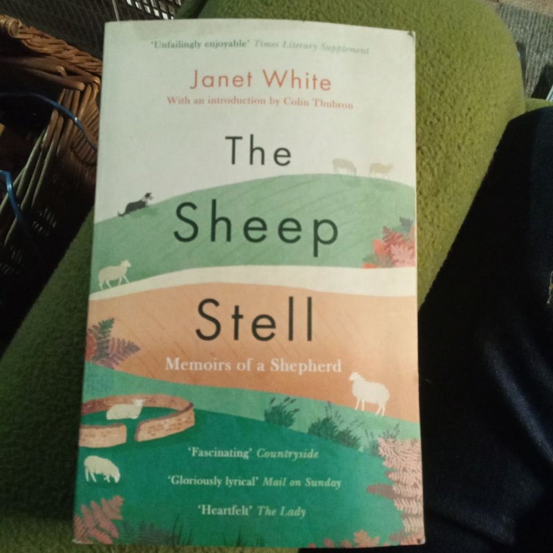 The Sheep Stell