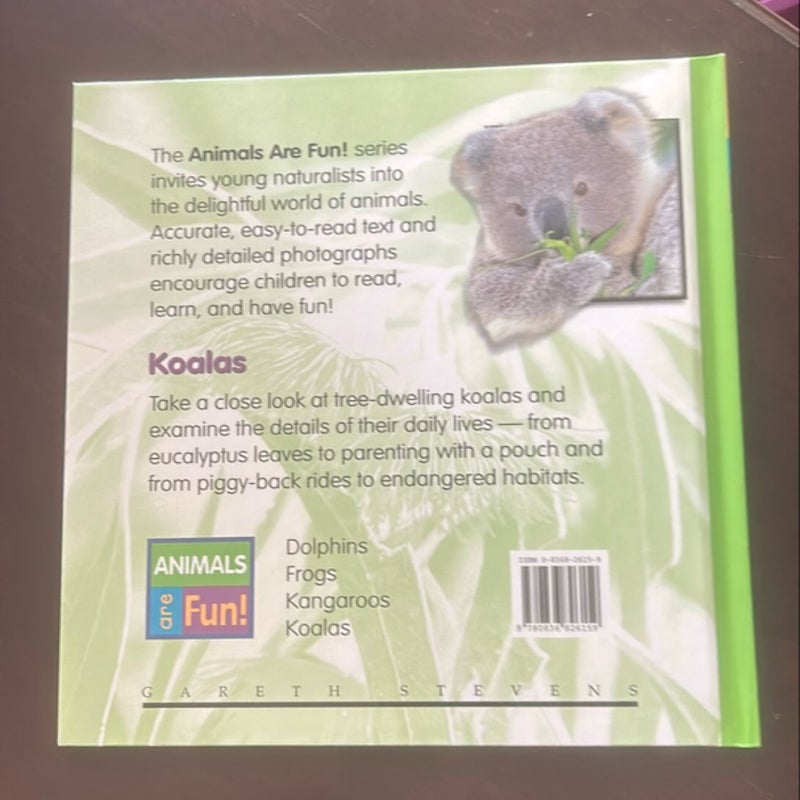 Koalas