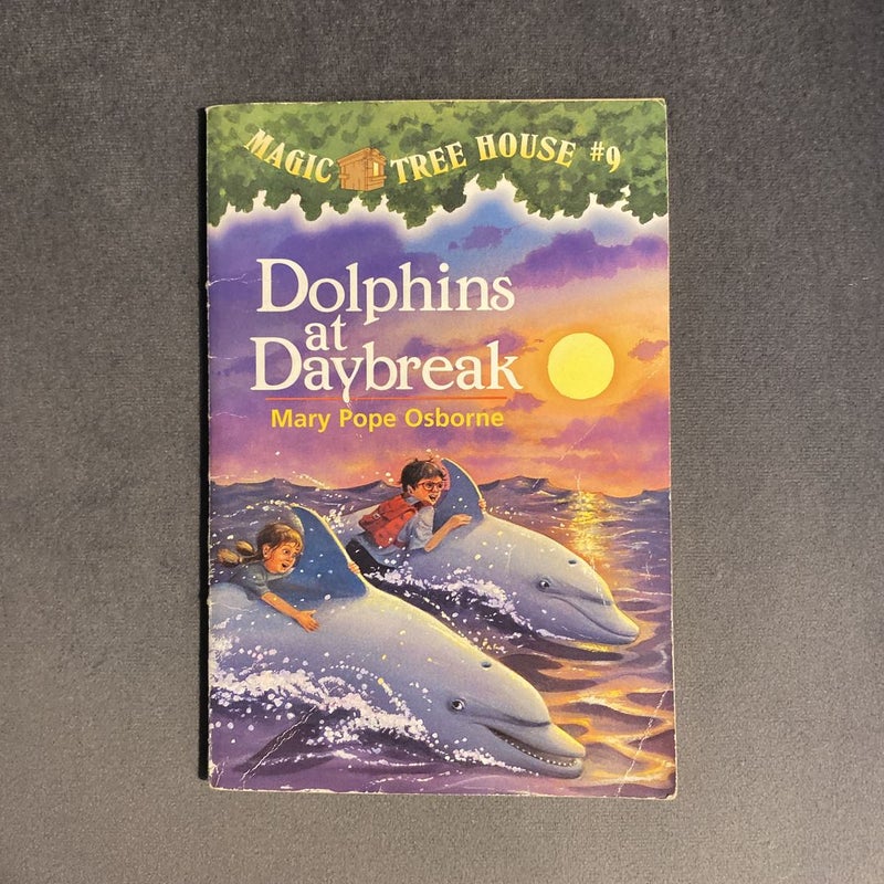 Dolphins at Daybreak