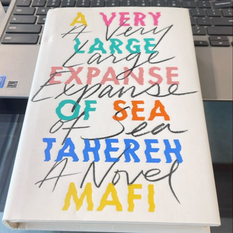 A Very Large Expanse of Sea