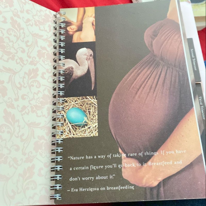 A Mothers Baby Journal