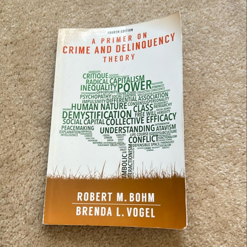 A Primer on Crime and Delinquency Theory