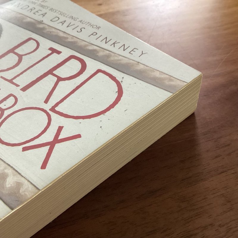 Bird in a Box by Andrea Davis Pinkney