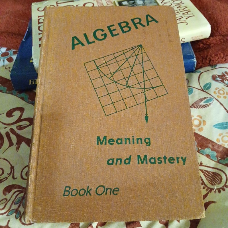 Algebra meaning and mastery