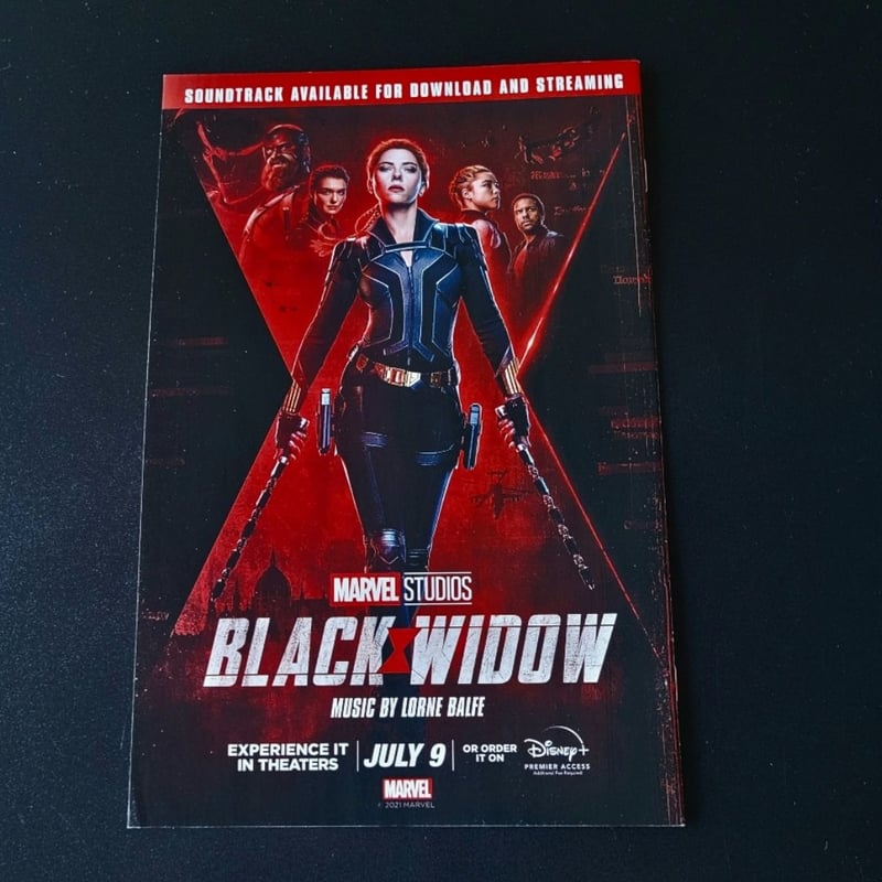 Spider-Man: Spider's Shadow #4