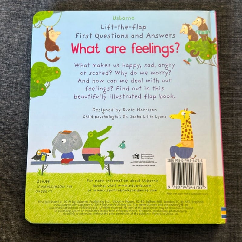 Lift-The-Flap First Questions and Answers What Are Feelings?