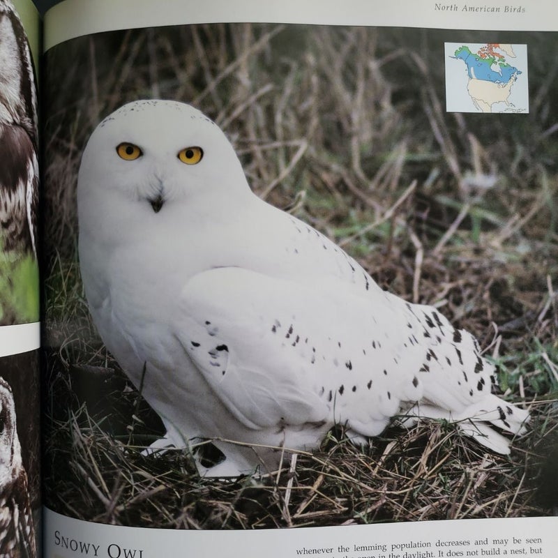 The Encyclopedia of North American Birds by Michael Vanner