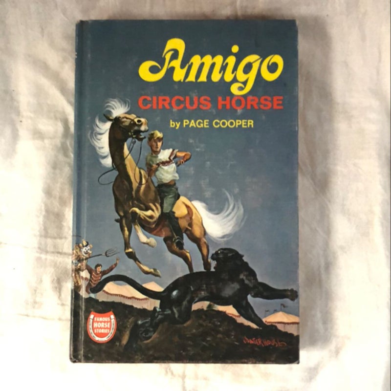 Amigo Circus Horse