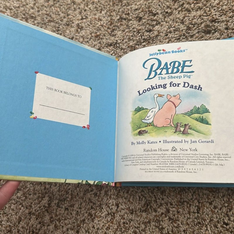Babe the Sheep Pig Looking for Dash Children's Book