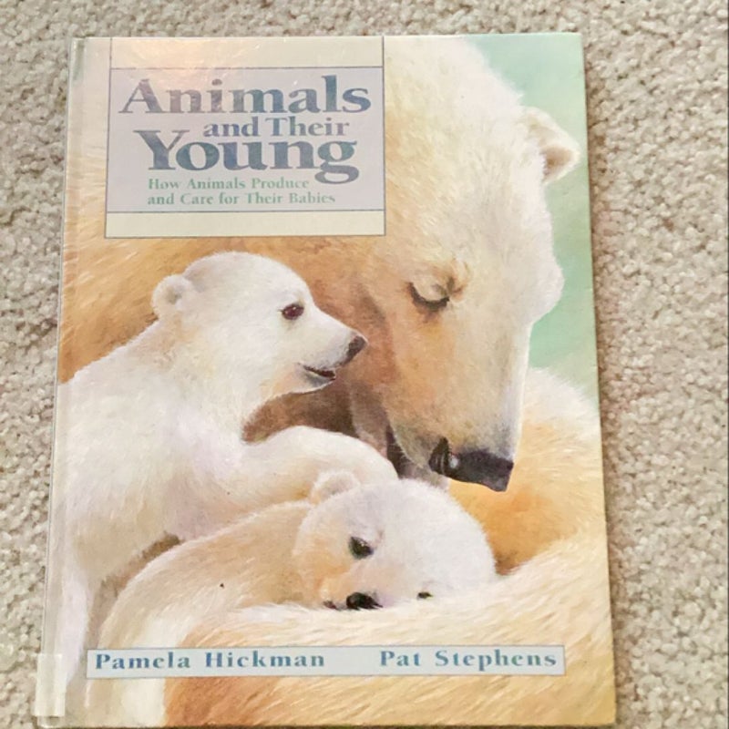 Animals and Their Young