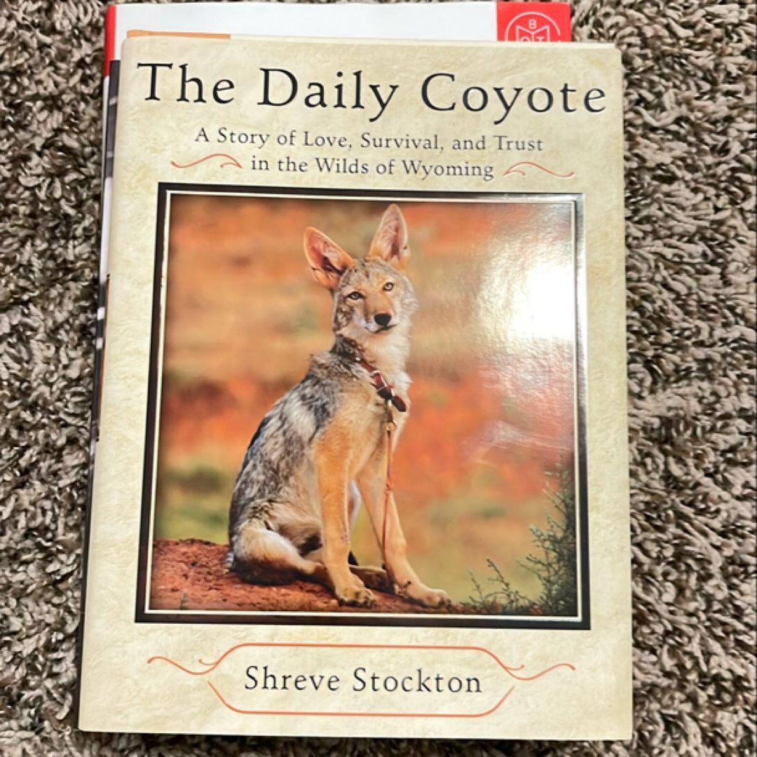 The Daily Coyote