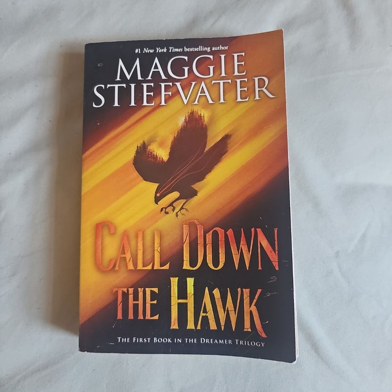 Call down the Hawk (the Dreamer Trilogy, Book 1)