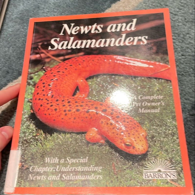 Newts And Salamanders 