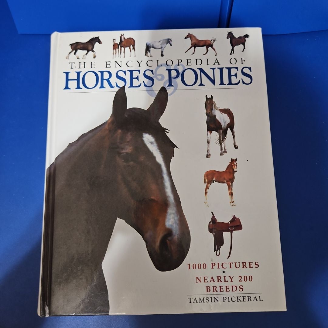 Horses and Ponies