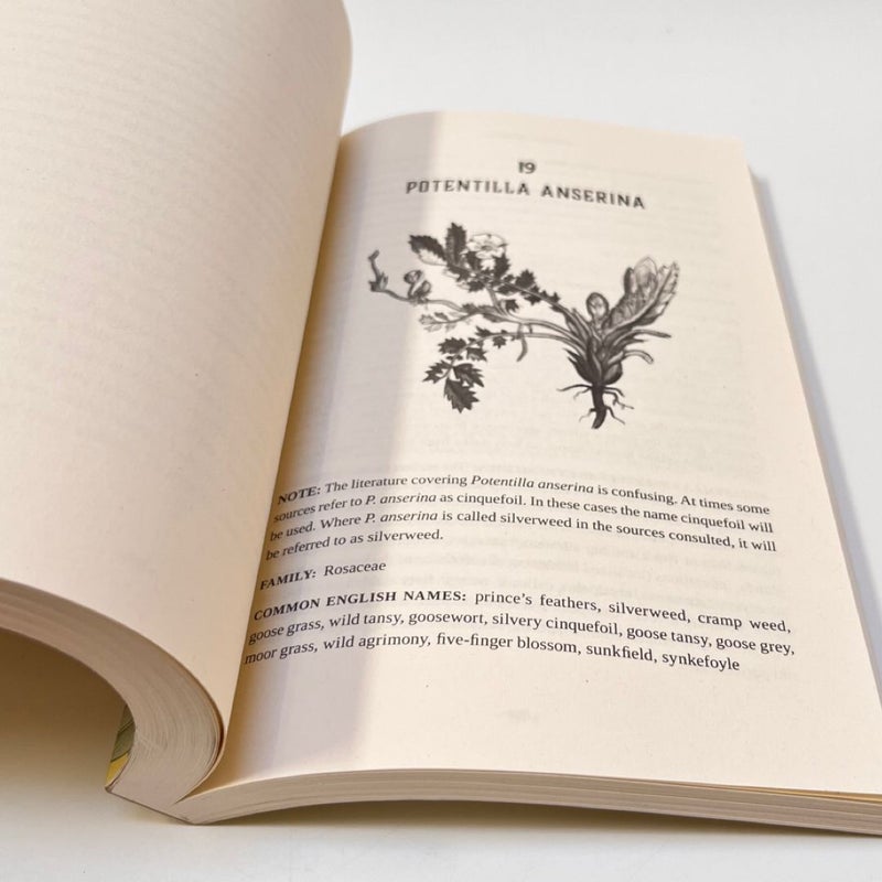 Ashkenazi Herbalism