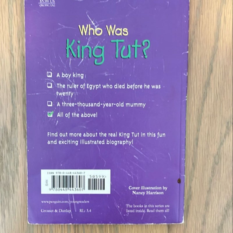 Who Was King Tut?