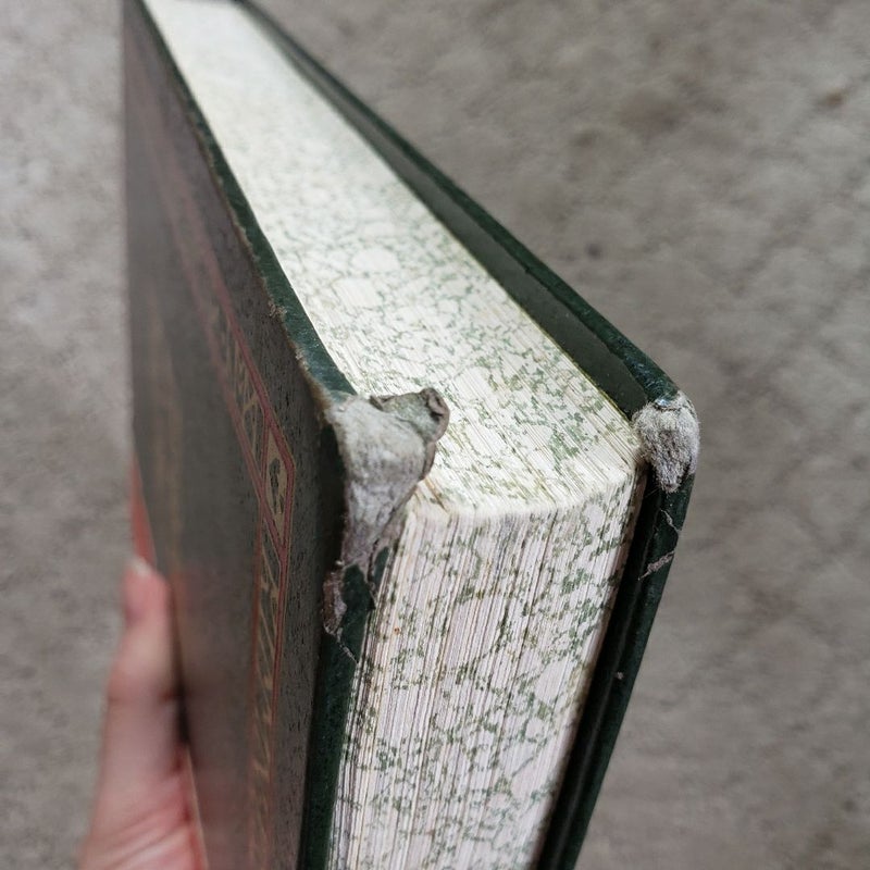 The Hobbit (Illustrated Edition, 1966)