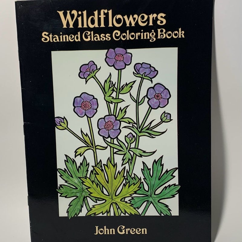 Wildflowers & Exotic Birds Vintage Stained Glass Coloring Book Lot 90s Nature