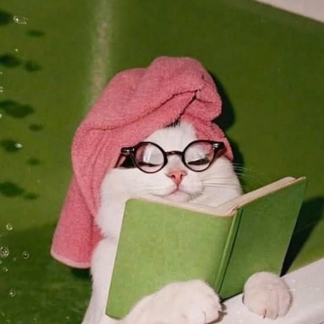 Zahra A.