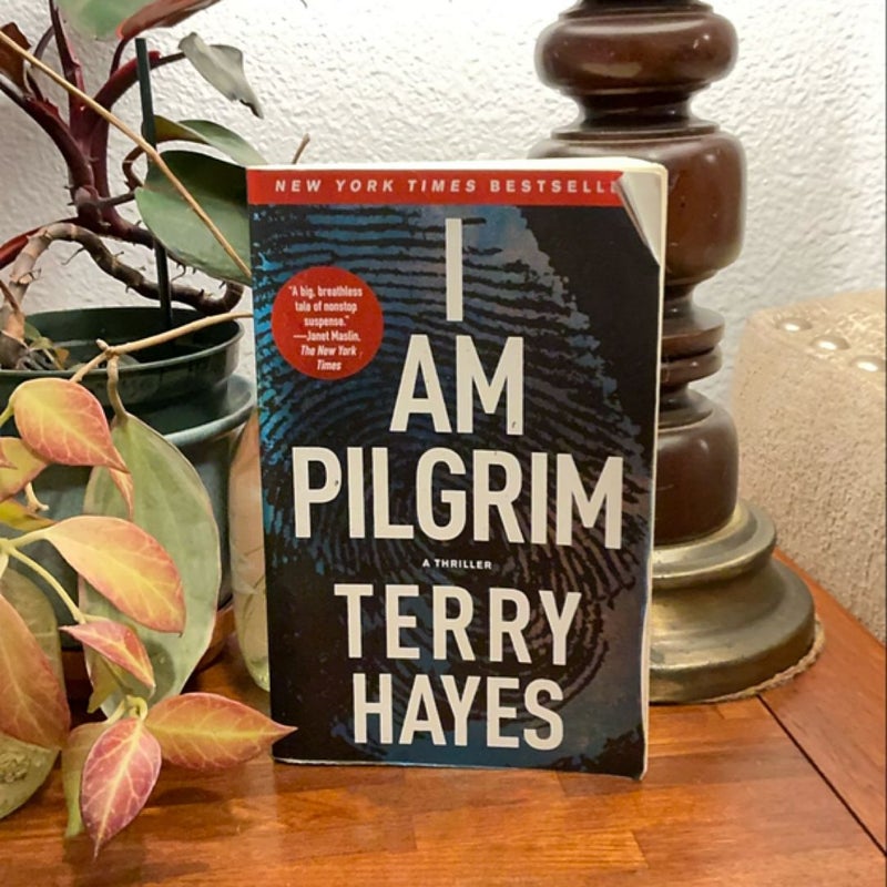 I Am Pilgrim