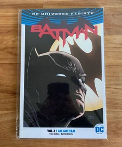 Batman Vol 1 I Am Gotham