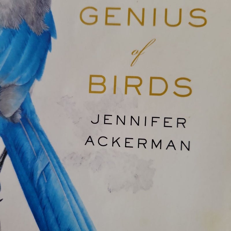 The Genius of Birds