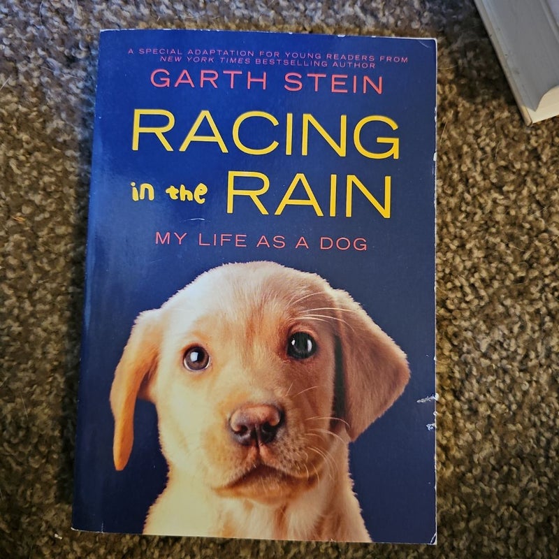 Racing in the Rain