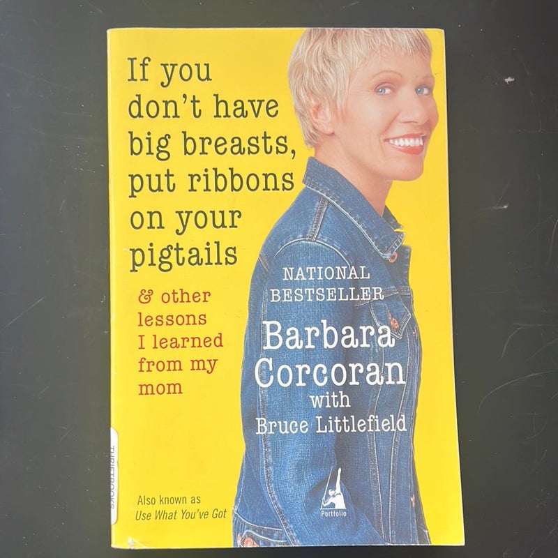 If You Don't Have Big Breasts, Put Ribbons on Your Pigtails