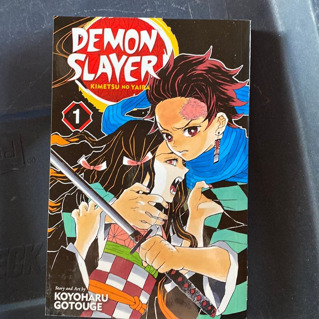 Demon Slayer: Kimetsu No Yaiba, Vol. 1