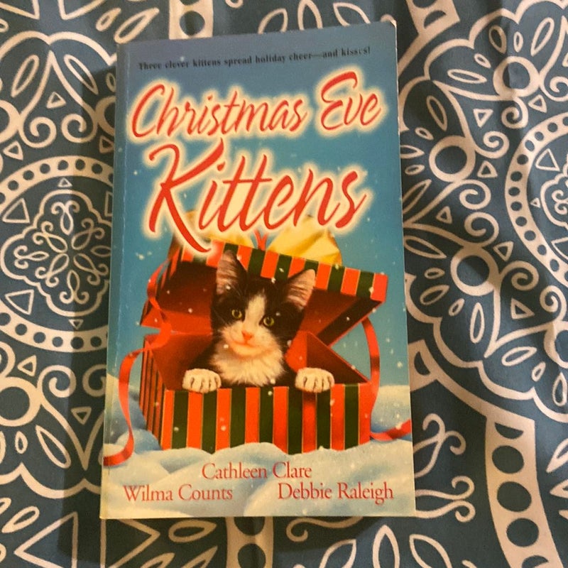 Christmas Eve Kittens