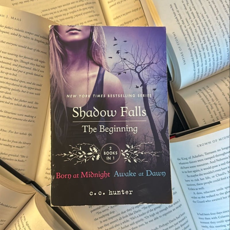 Shadow Falls: the Beginning